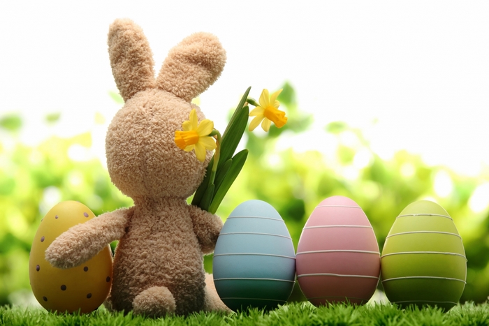 Easter bunny with daffodils and decorated eggs