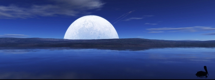 Giant Moon over Water with Pelican