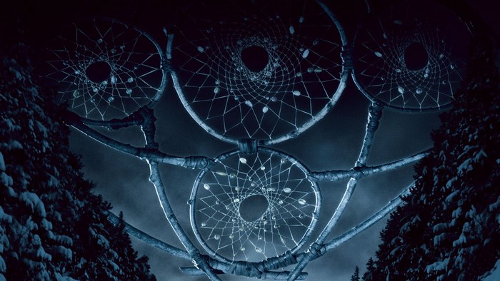 Dreamcatchers hanging from branches in a forest