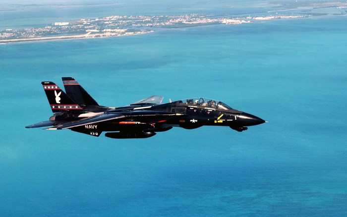 Grumman F-14 Tomcat with Playboy bunny logo