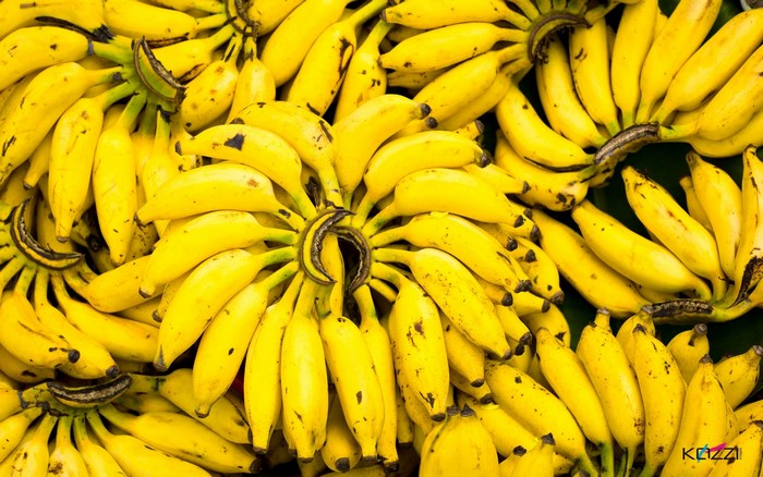 Bunch of ripe yellow bananas