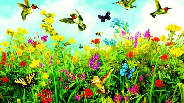 Hummingbirds and Butterflies in a Spring Meadow