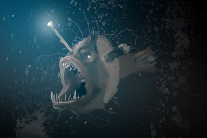 Anglerfish with bioluminescent lure in dark water