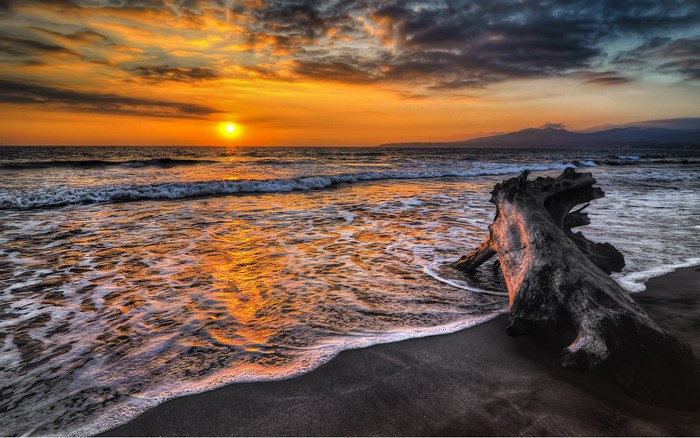 Sunset over the ocean with driftwood