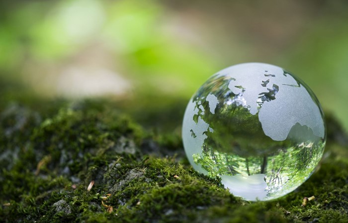 Crystal Globe Reflecting Nature and Earth