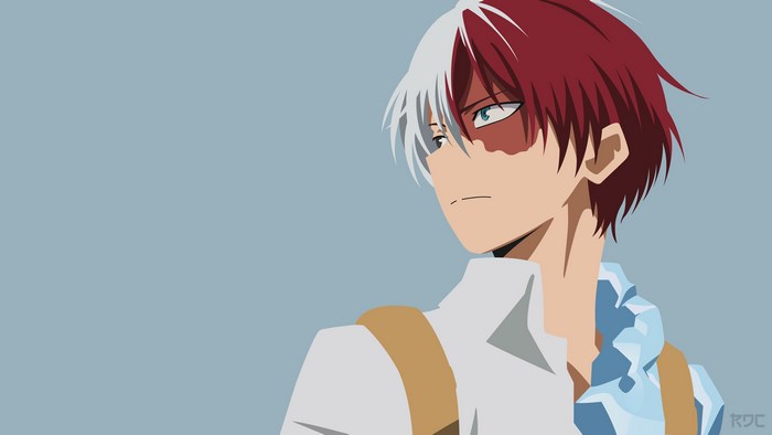 Shoto Todoroki from My Hero Academia