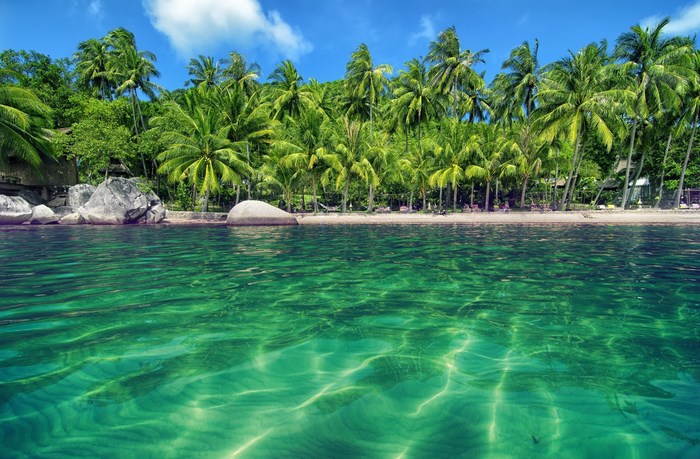Tropical beach with palm trees and clear turquoise water