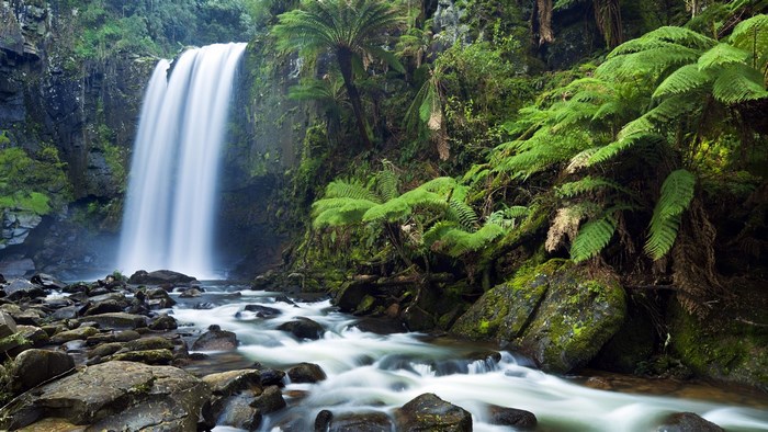 Waterfall in a lush green forest with a stream