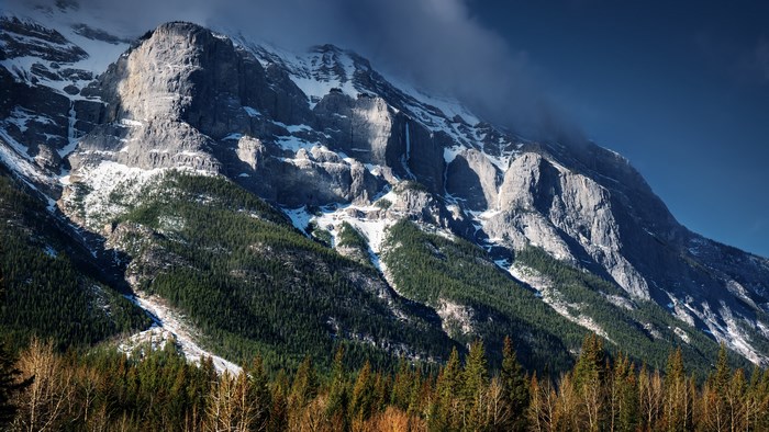 4K Mountain Landscape with Forest
