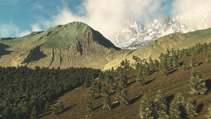 Mountain landscape with pine trees and snow-capped peaks
