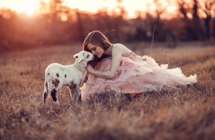 Girl in pink dress with lamb in field at sunset