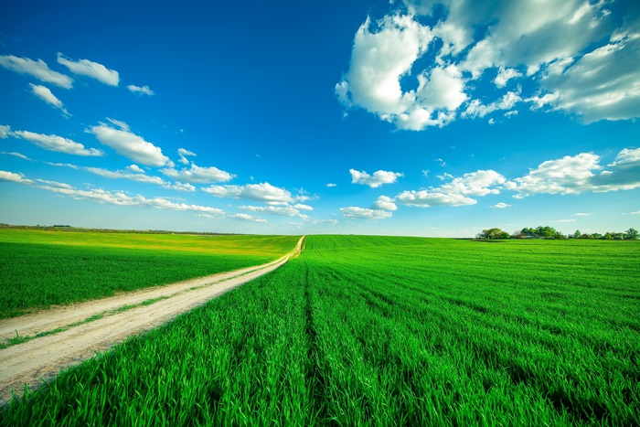 Green field with dirt road and blue sky