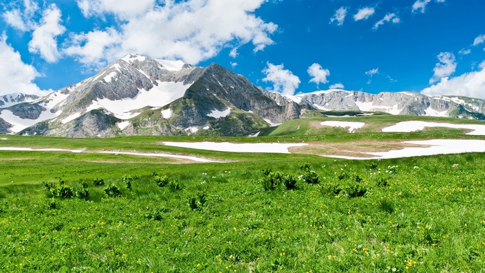 Snowy mountains and green meadow under blue sky