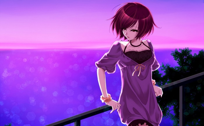 Anime girl in purple dress at sunset