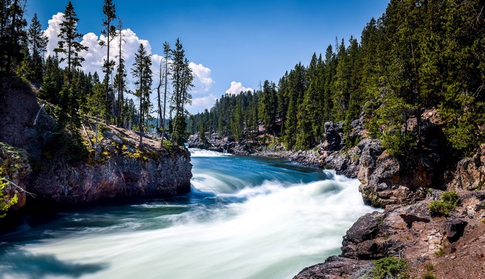 River flowing through a forest landscape 4K