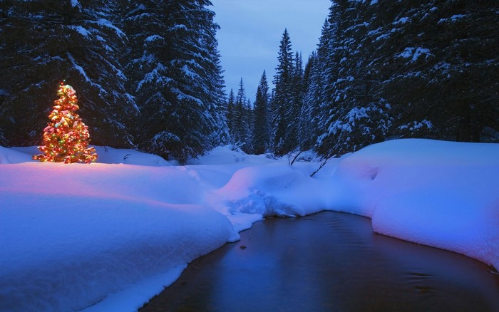 Decorated Christmas tree in a snowy forest by a river at night