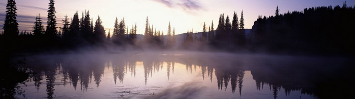 Misty lake with pine trees at sunrise