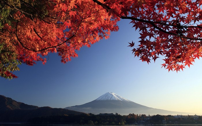 Mount Fuji with Autumn Red Maple Leaves