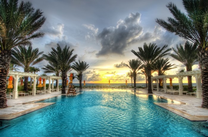 Swimming pool and palm trees at sunrise by the sea