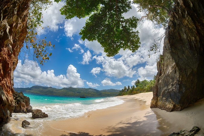 Tropical Beach with Palm Trees in Dominican Republic