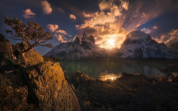 Sunset over Torres del Paine with lake and tree