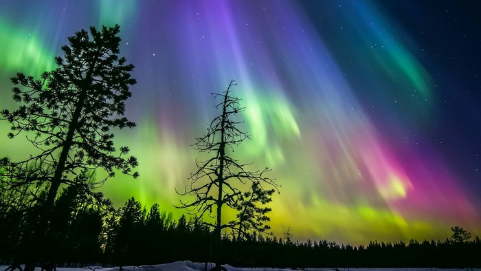 Aurora Borealis Over Finnish Winter Forest