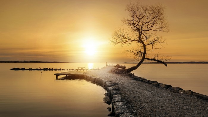 Sunset over a calm lake with a pier and a bare tree