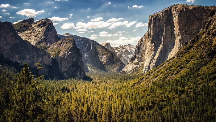 Yosemite National Park Valley with Mountains and Forest