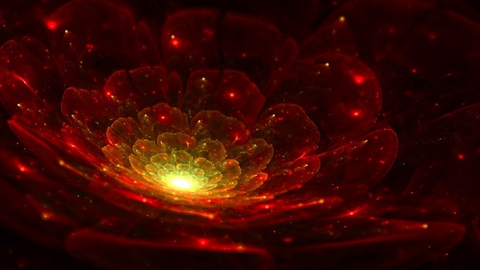 Abstract red fractal flower digital art