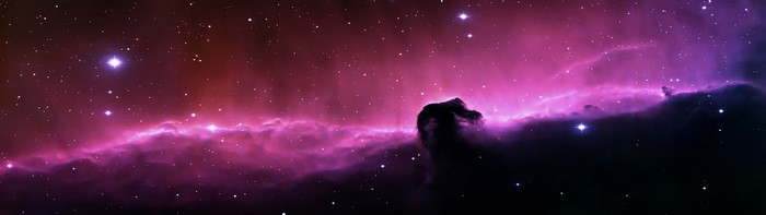 Horsehead Nebula in Space