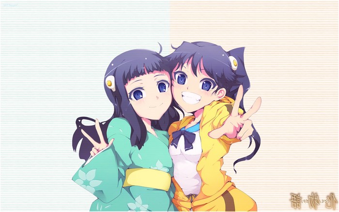 Karen and Tsukihi Araragi from Monogatari Series
