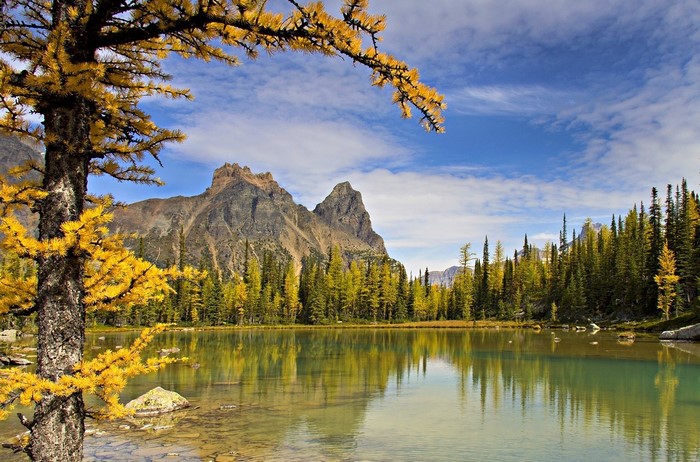 Autumn forest lake with mountains and reflections