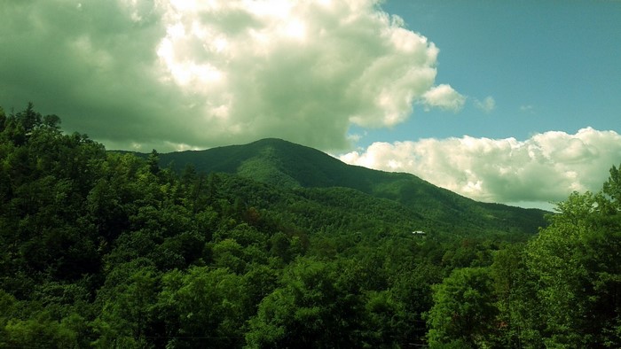 Smoky Mountains National Park Landscape