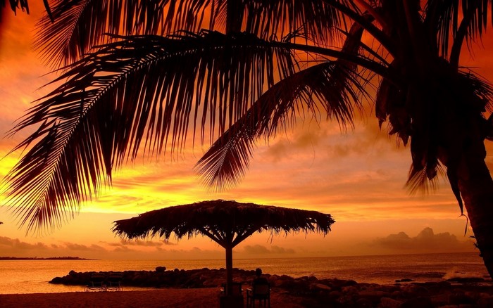 Tropical beach sunset with palm trees and umbrella