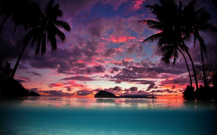 Tropical sunset over the ocean with palm trees