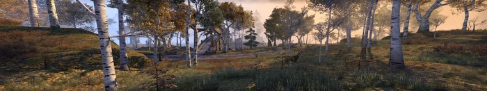the elder scrolls online quadruple monitors wildlife forest