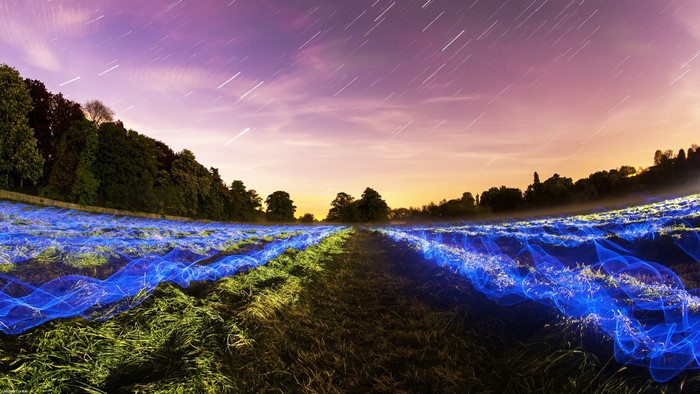 Long exposure of a field with blue light trails at night