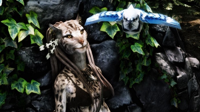 Khajiit woman and blue jay in The Elder Scrolls V Skyrim