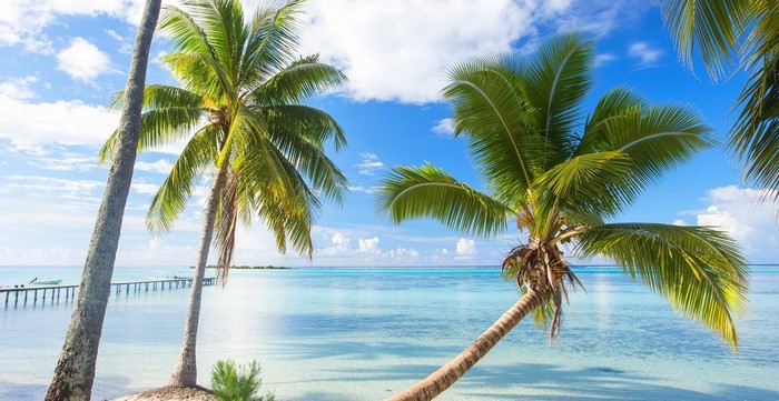 Tropical beach with palm trees and a dock in French Polynesia
