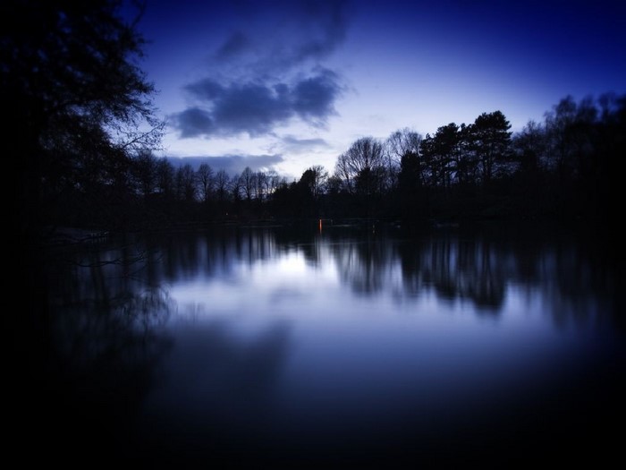 Dark lake reflecting trees at dusk