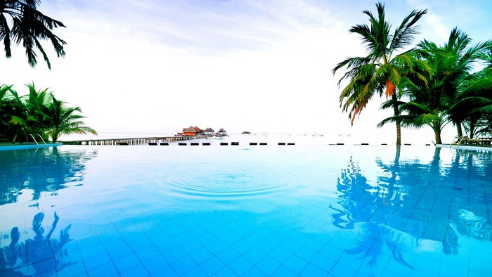 Infinity pool with palm trees and overwater bungalows