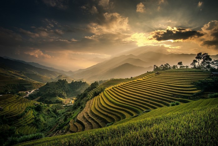 Terraced rice fields in a valley at sunset