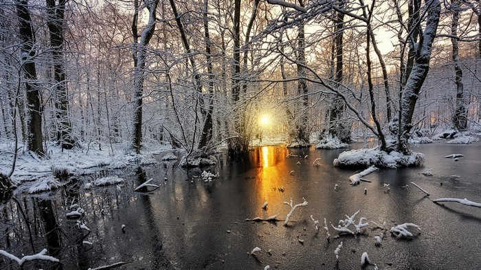 Winter forest with sunrise over frozen water