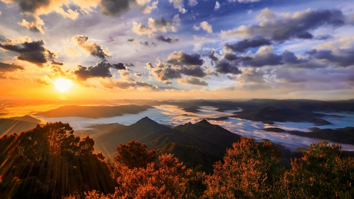 Sunset over misty mountains with trees in foreground