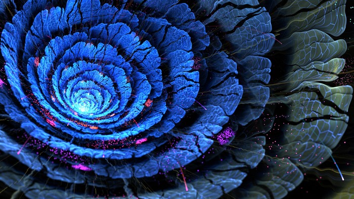 Blue fractal flower with pink accents