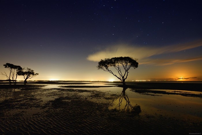 Starry night over a coastal landscape with trees and reflections