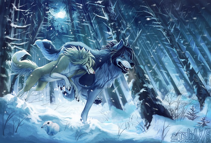 Two wolves running through a snowy forest