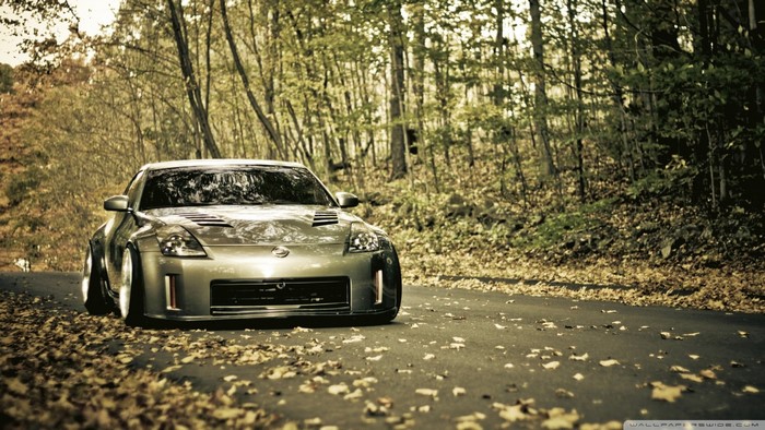 Nissan 350Z on a forest road with fallen leaves