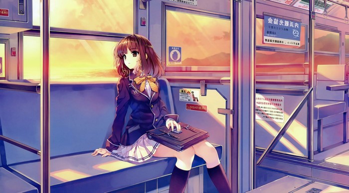 Anime girl in school uniform on a train