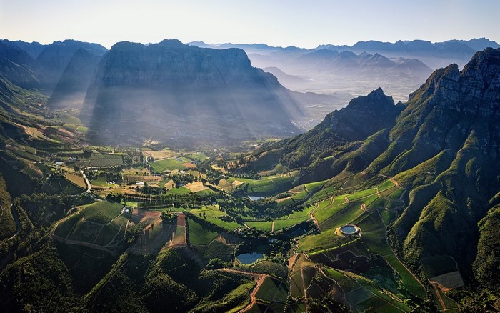 Aerial view of vineyards and mountains in South Africa